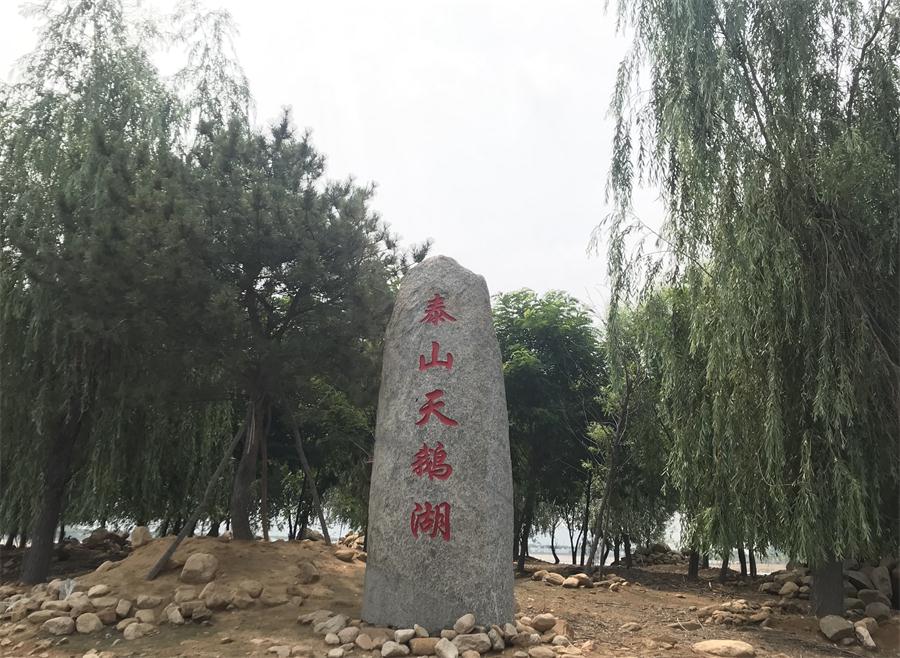 天鵝湖風(fēng)景區(qū)（泰山）速覽！(圖12)