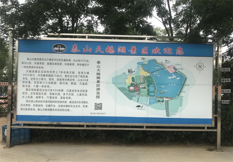 天鵝湖風(fēng)景區(qū)（泰山）速覽！(圖2)